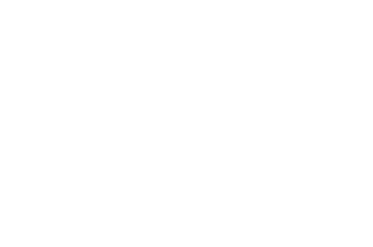 Footer Logo: Be the One